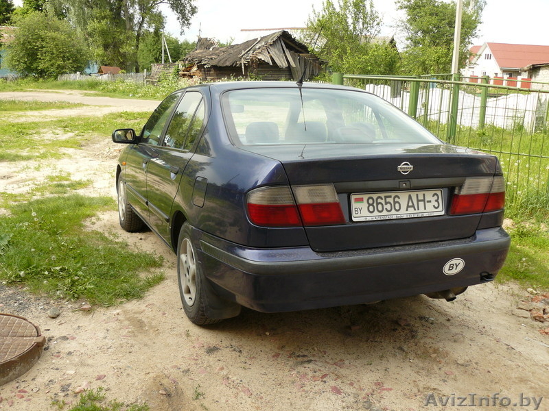 Nissan primera p11 кузов - Изображение #4, Объявление #119014