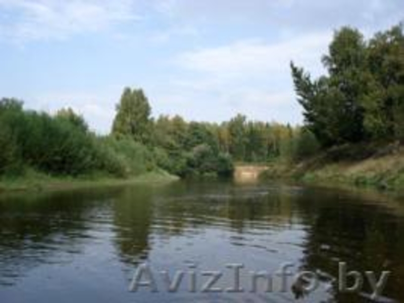 Продаю дом в экологически чистом районе - Изображение #3, Объявление #135059