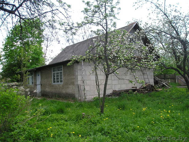 Продам дом в деревне Ивановка речицкого района - Изображение #4, Объявление #221726