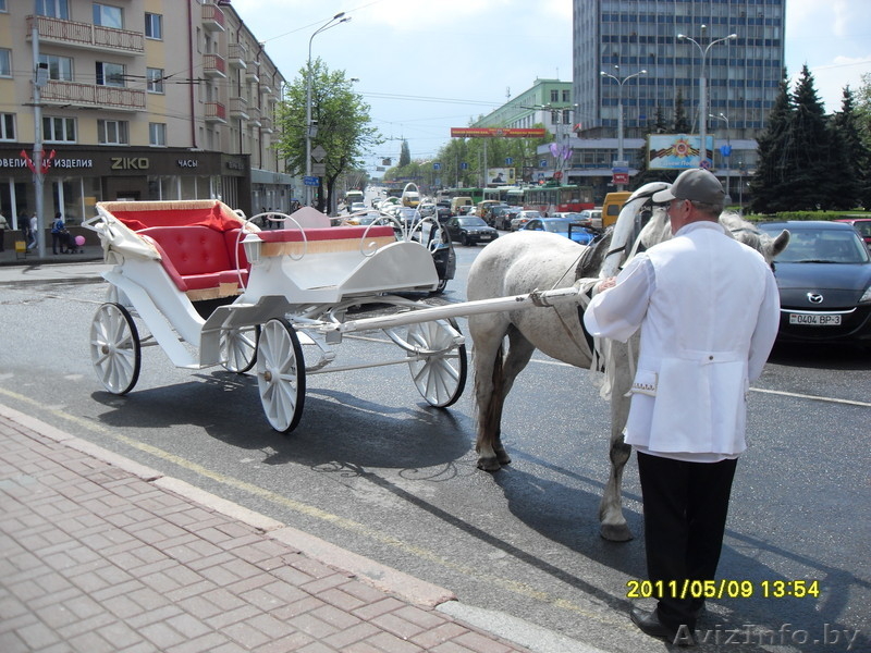 Карета "Фаетон" - Изображение #8, Объявление #203490