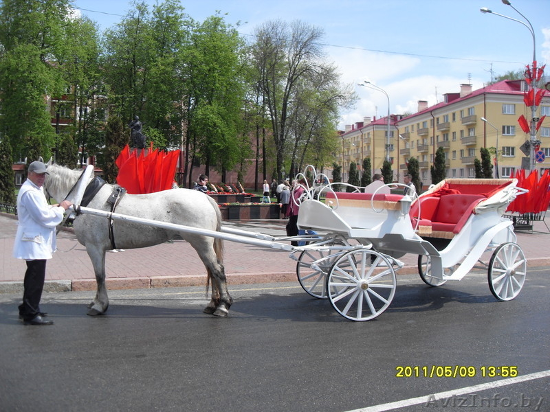 Карета "Фаетон" - Изображение #10, Объявление #203490