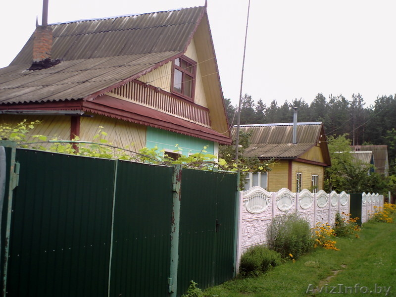 Продам уютную дачу в 20 км от города Гомеля. - Изображение #4, Объявление #340688
