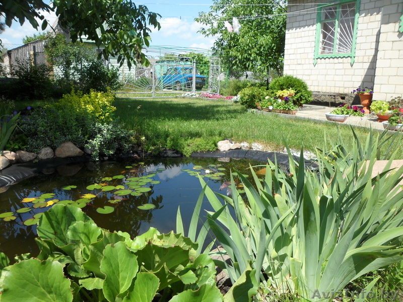 продам уютную дачу для отдыха в 15 км от ГОМЕЛЯ - Изображение #1, Объявление #515805