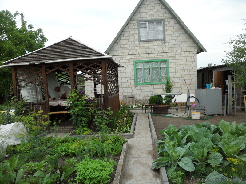 продам уютную дачу для отдыха в 15 км от ГОМЕЛЯ - Изображение #4, Объявление #515805