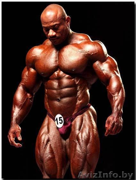 спортивное питание в Гомеле - Изображение #1, Объявление #682958