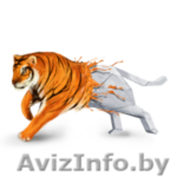 Типография Готовых Решений Тигр - Изображение #1, Объявление #763743