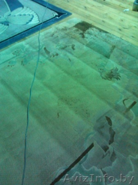  Химчистка ковров в Гомеле удаление запахов животных! - Изображение #4, Объявление #776776