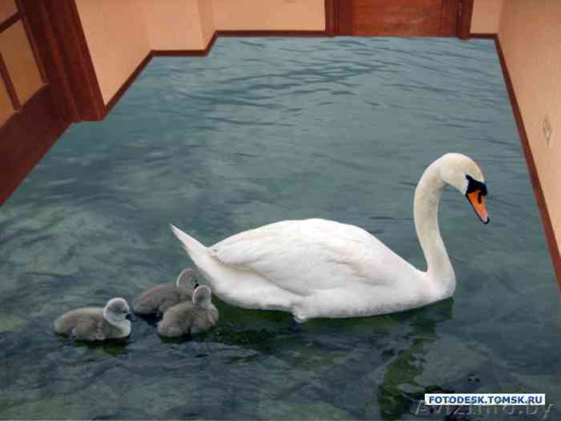 Промышленныеполы и 3D полы - Изображение #4, Объявление #859495