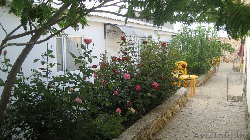 Отдых на берегу Черного моря, Тарханкут - Изображение #3, Объявление #896470