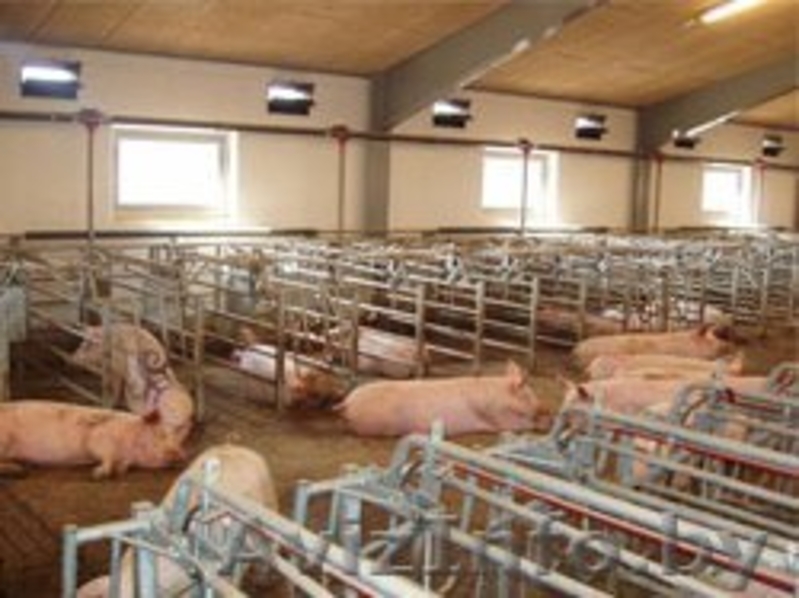 Оборудование для орошения, удаления, транспортировки и переработки навоза - Изображение #10, Объявление #939726