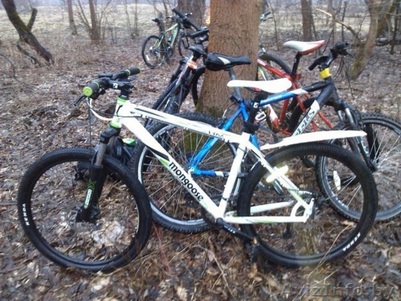 Mongoose Tyax Comp 2013 - Изображение #2, Объявление #988870