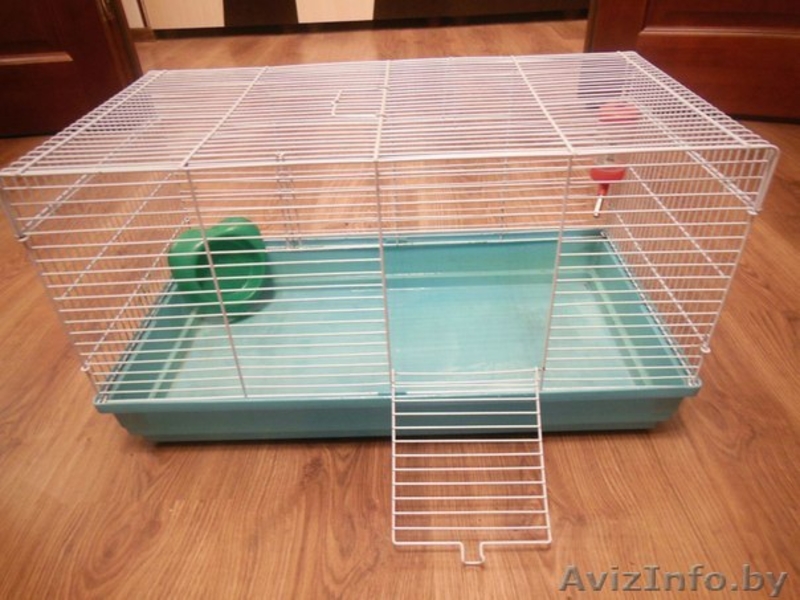 продается клетка размером 60*35*35 - Изображение #1, Объявление #1005448