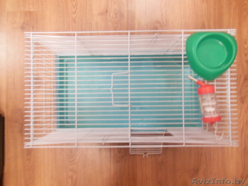 продается клетка размером 60*35*35 - Изображение #2, Объявление #1005448