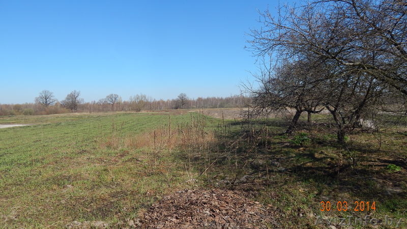 дача в гряде РЯДОМ РЕКА - Изображение #8, Объявление #1066559