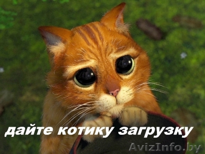 Грузоперевозки по Беларуси и России до 20 тонн. - Изображение #4, Объявление #1143393