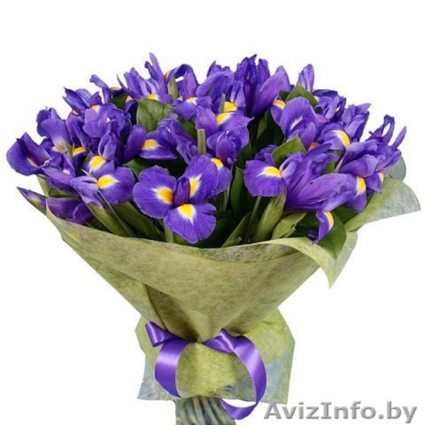 Цветы с доставкой на дом  - Изображение #5, Объявление #1187862