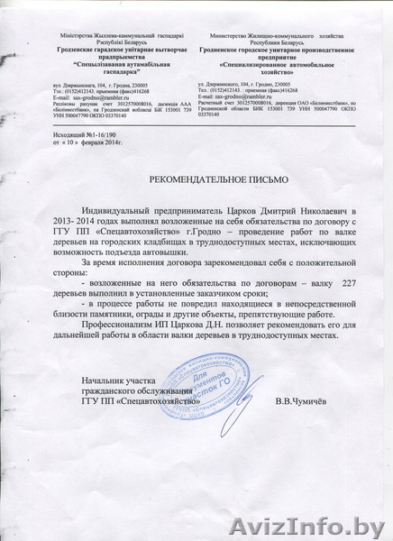 Cпилить, срубить обрезать дерево. Валка, снос, кронирование деревьев - Изображение #3, Объявление #1198819