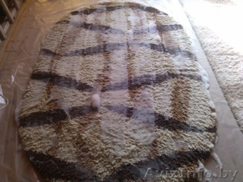 Химчистка Мойка ковров в Гомеле. Удаление неприятных запахов!!! - Изображение #4, Объявление #1231710