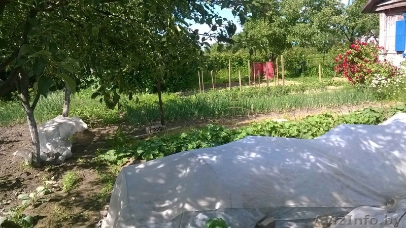 Дом 45 м2 и кусок земли 6 сот.Дешево - Изображение #3, Объявление #1280691