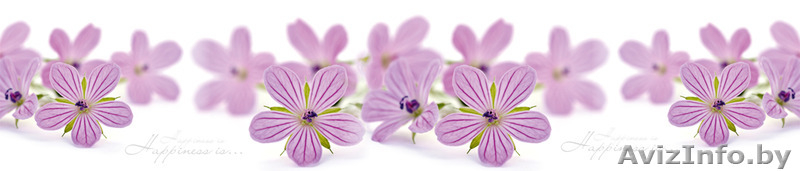 Стеновые панели (скинали) на основе МДФ - Изображение #3, Объявление #1289495