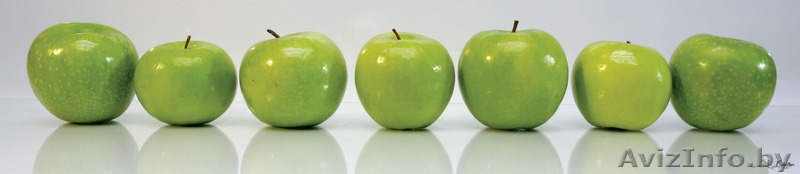 Стеновые панели (скинали) на основе МДФ - Изображение #1, Объявление #1289495