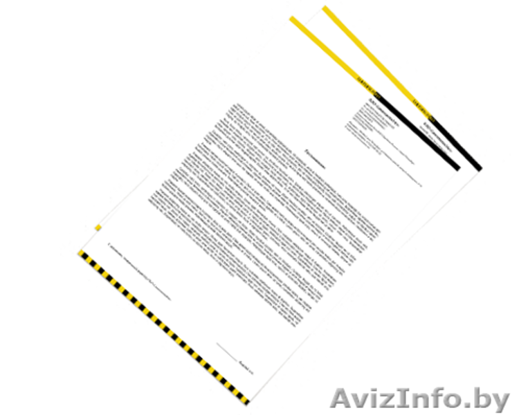 Киви Групп Гомель - Изображение #3, Объявление #1314739