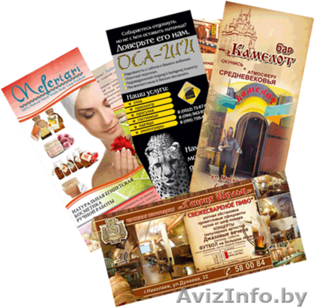 Киви Групп Гомель - Изображение #6, Объявление #1314739