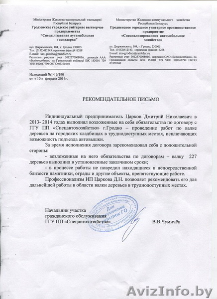 Спилить дерево, удалить дерево, срубить дерево, обрезать сад, арбористика - Изображение #3, Объявление #1332503