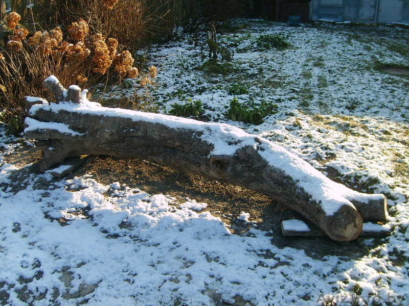 Дрова яблоня, груша - Изображение #3, Объявление #1346114