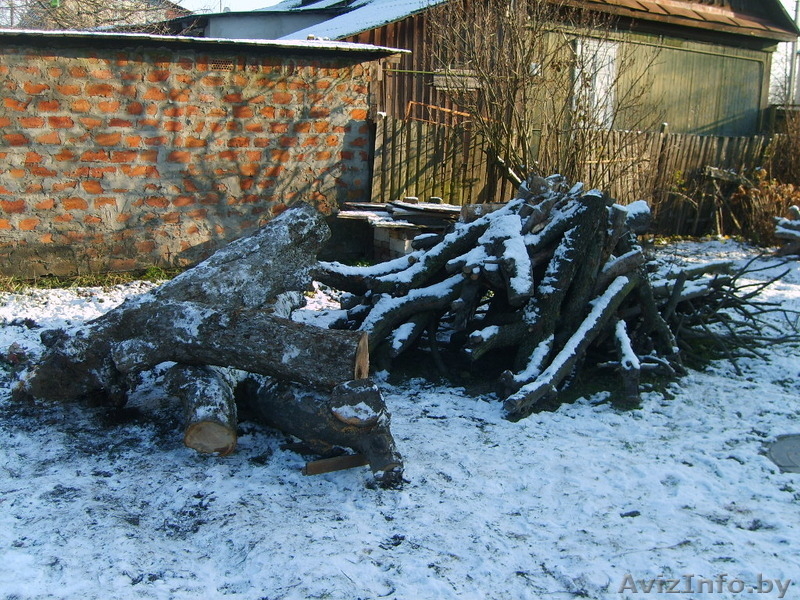 Дрова яблоня, груша - Изображение #1, Объявление #1346114