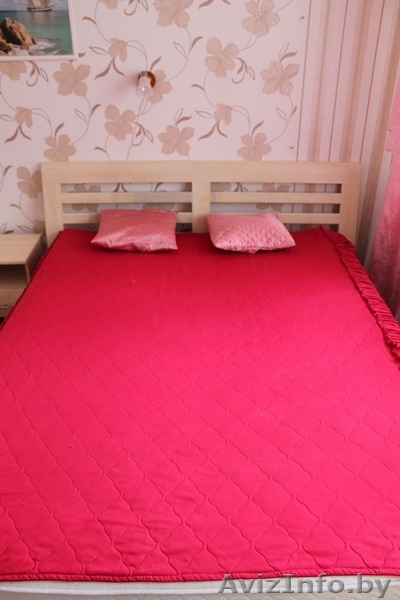 2-я квартира возле Кооперативного с Wi-Fi на сутки - Изображение #1, Объявление #1312862