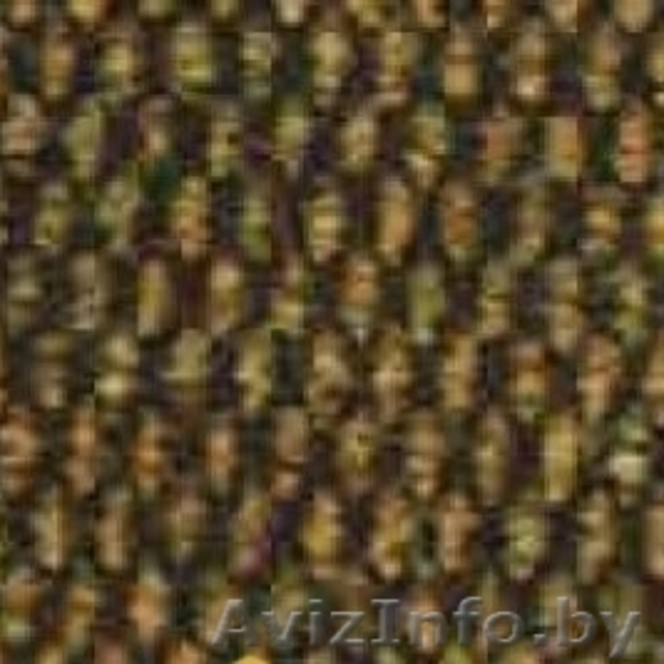 Ковровое покрытие Enia - Изображение #7, Объявление #1441243