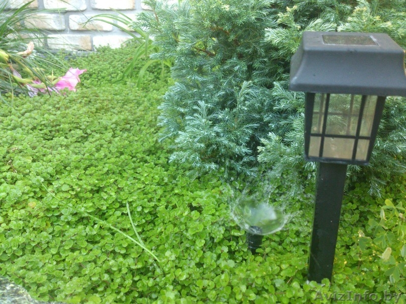 Монтаж систем автоматического полива | Продажа композитных бассейнов - Изображение #4, Объявление #1429988