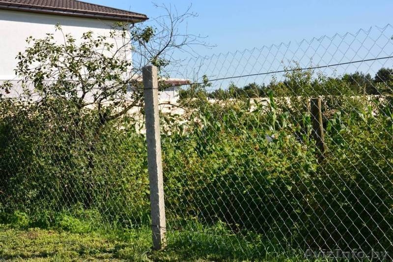 Заборы из сетки Рабица 1,8 метра - Изображение #3, Объявление #1427307