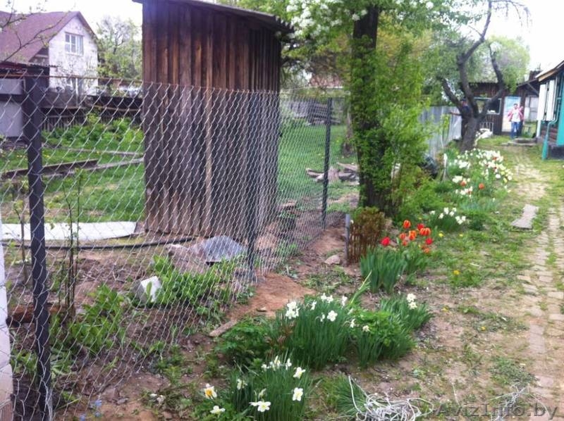 Заборы из сетки Рабица 1,8 метра - Изображение #2, Объявление #1427307