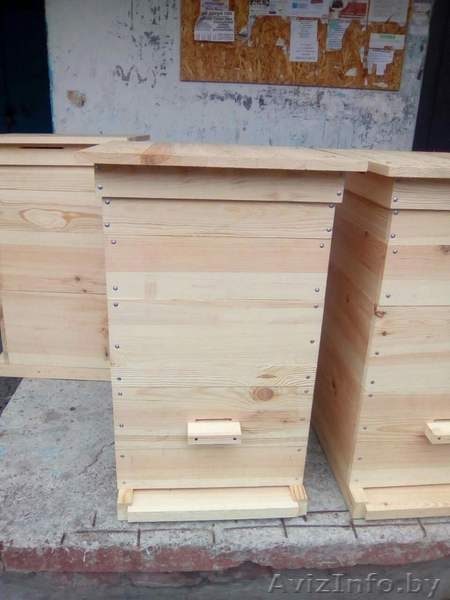 Улей - Изображение #3, Объявление #1585162