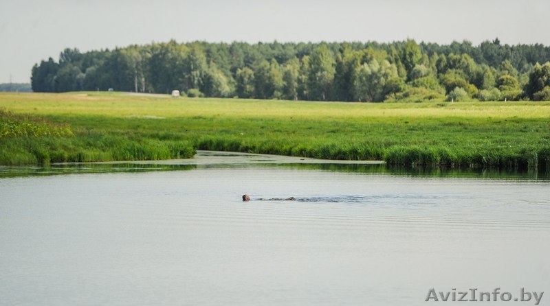 Дом Усадьба сдам в аренду на сутки и часы в 15 км от Гомеля - Изображение #4, Объявление #1604800