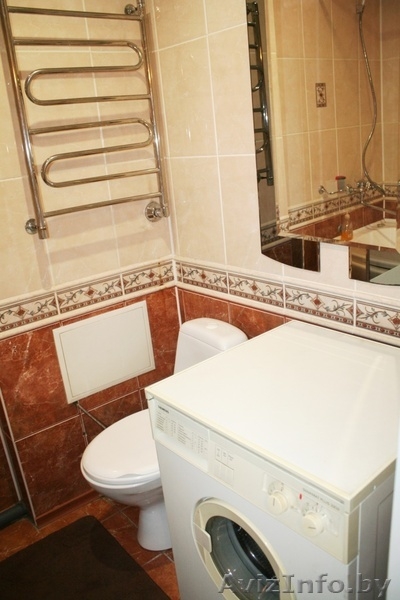 1-комн. возле супермаркета Алми, Гомсельмаш - Изображение #9, Объявление #1082423