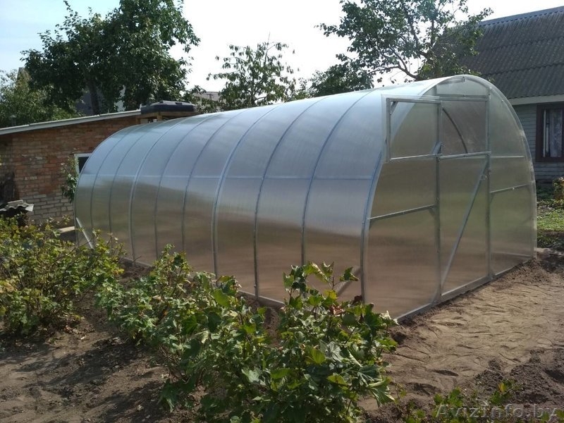 Лучшая теплица на рынке РБ, теплица Престиж - Изображение #2, Объявление #1633524