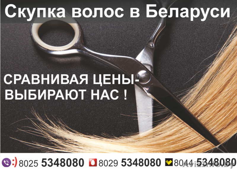 Как получить бесплатные волосы в рб. Скупка волос. волосы в рб. скупка волос реклама. скупка волос ретро фотография.