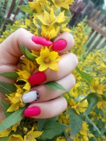 Маникюр Педикюр Гомель - Изображение #8, Объявление #1692478