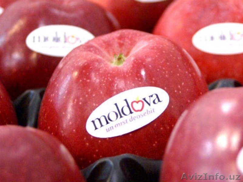 Свежие помидоры +доставка. - Изображение #2, Объявление #1245454