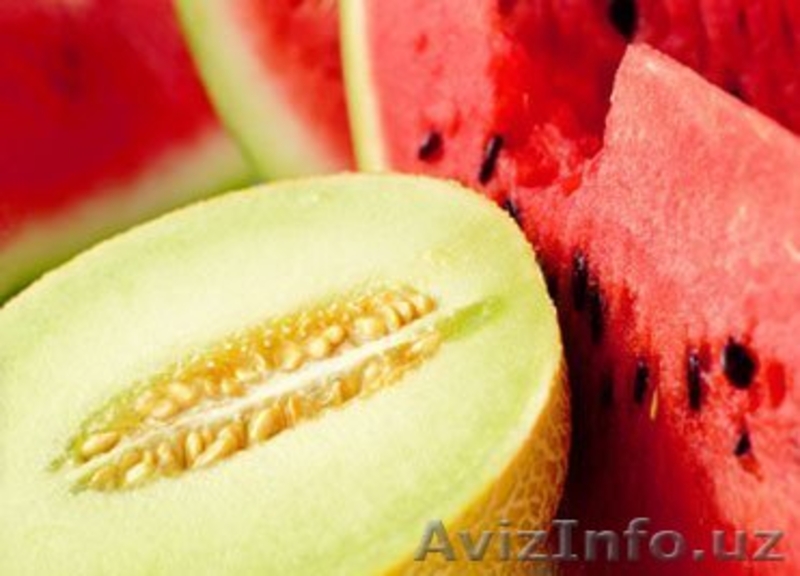 Свежие помидоры +доставка. - Изображение #3, Объявление #1245454